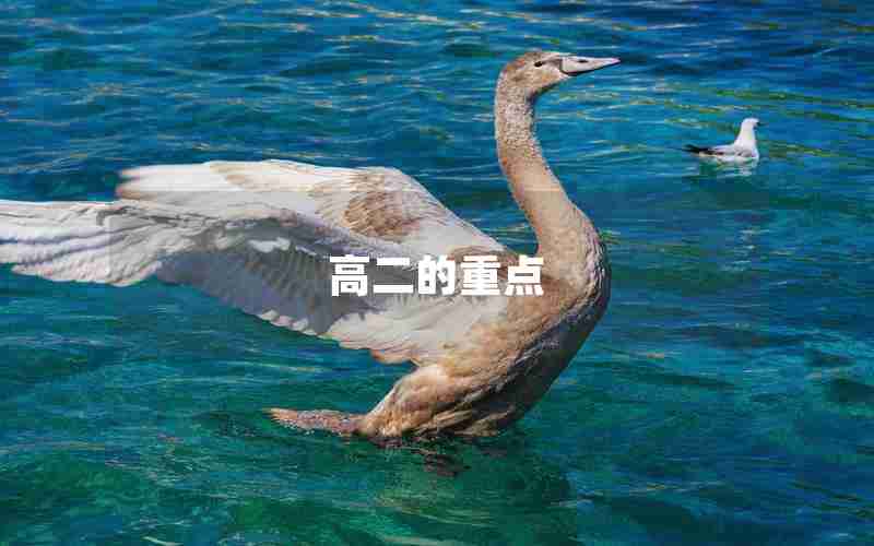 高二的重点