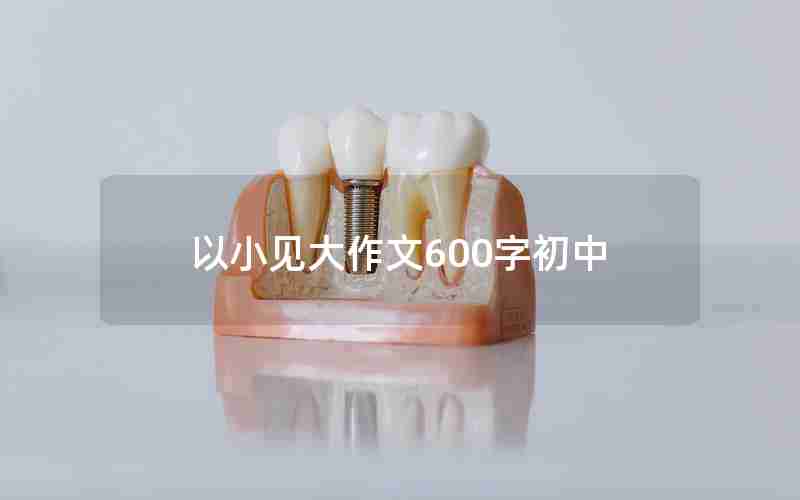 以小见大作文600字初中