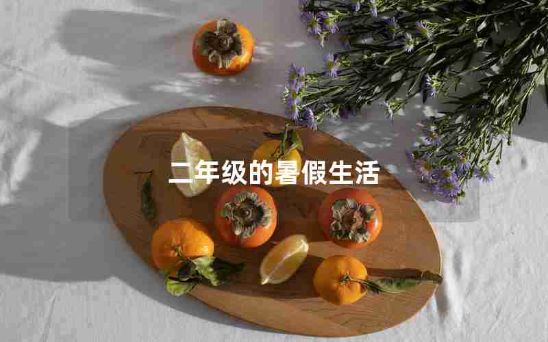 二年级的暑假生活