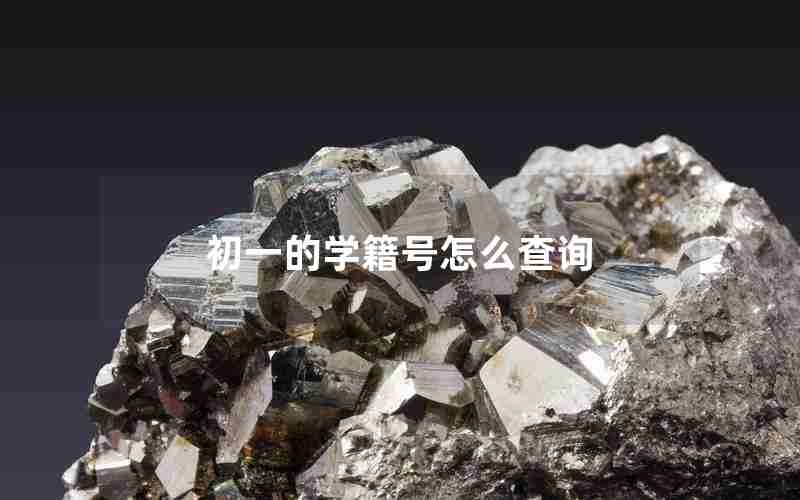 初一的学籍号怎么查询
