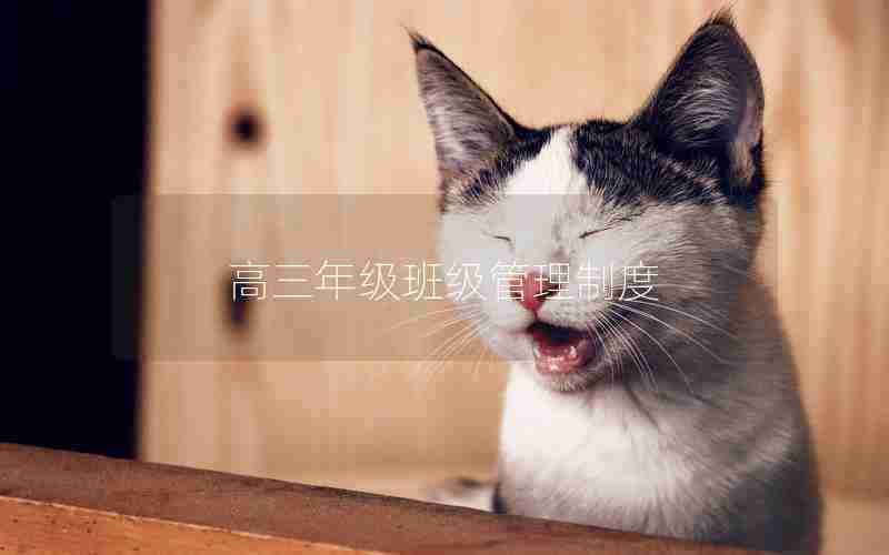 高三年级班级管理制度