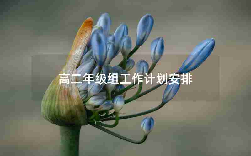 高二年级组工作计划安排