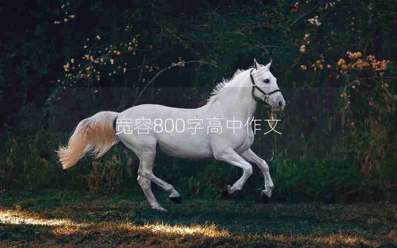 宽容800字高中作文