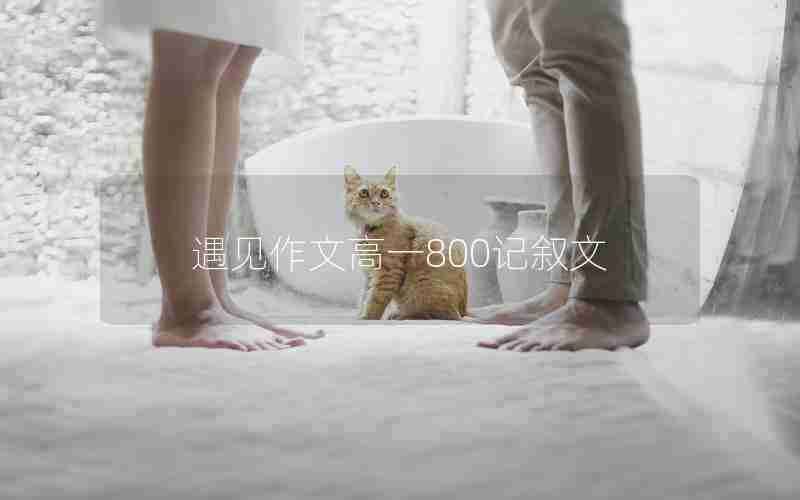 遇见作文高一800记叙文