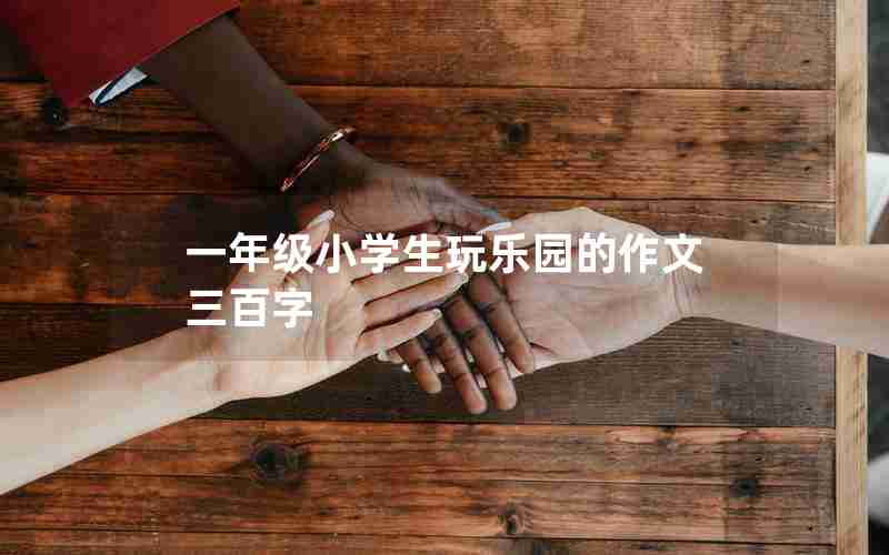 一年级小学生玩乐园的作文三百字