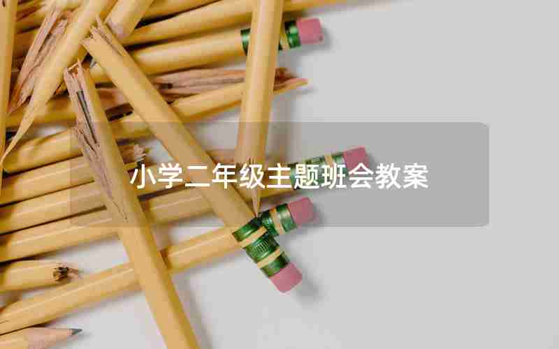 小学二年级主题班会教案