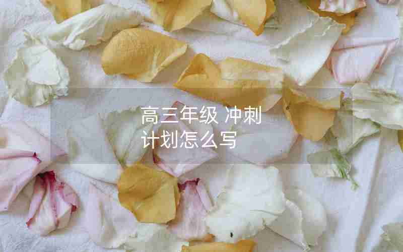高三年级 冲刺 计划怎么写