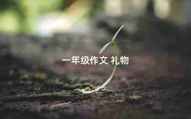 一年级作文 礼物