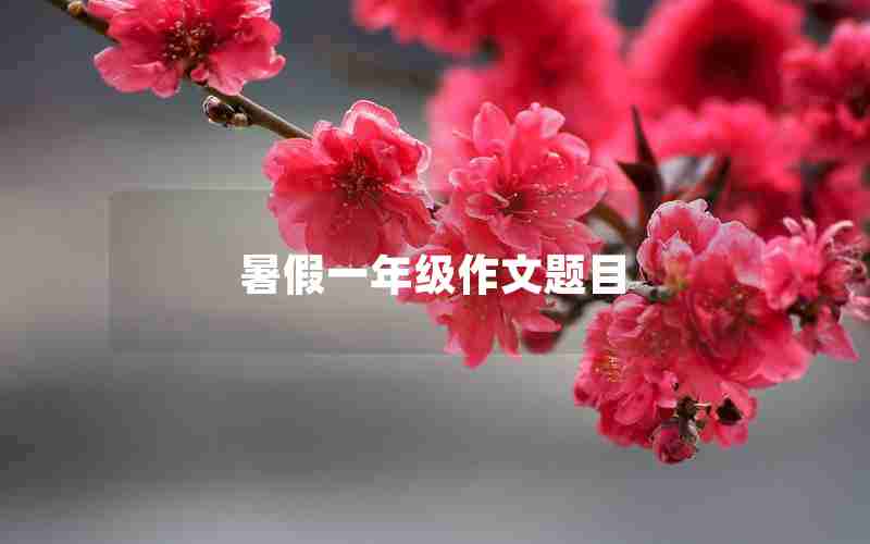 暑假一年级作文题目