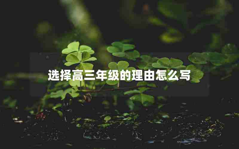 选择高三年级的理由怎么写