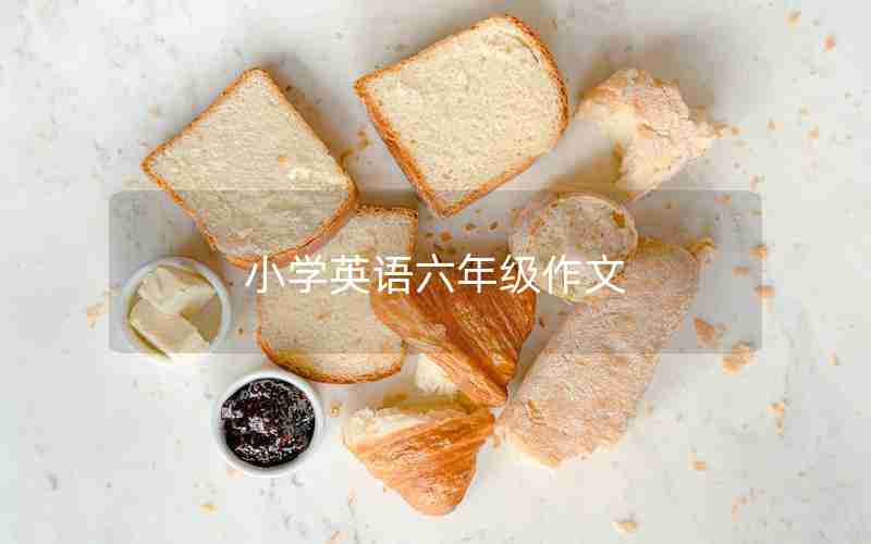 小学英语六年级作文