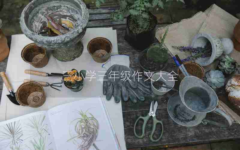 三小学三年级作文大全