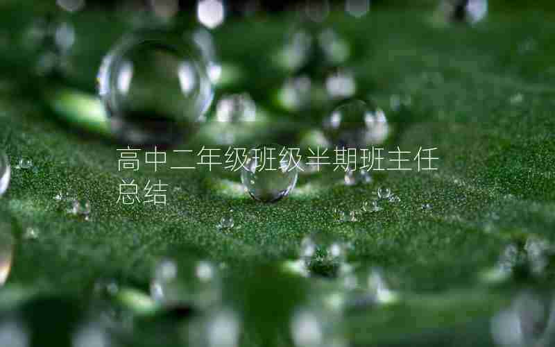 高中二年级班级半期班主任总结