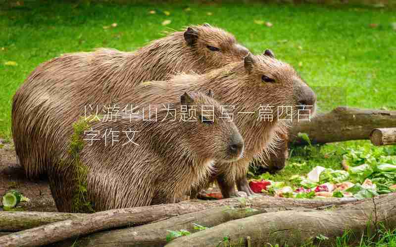 以游华山为题目写一篇四百字作文