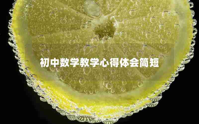初中数学教学心得体会简短