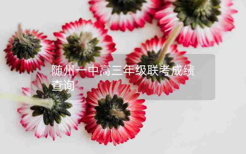随州一中高三年级联考成绩查询