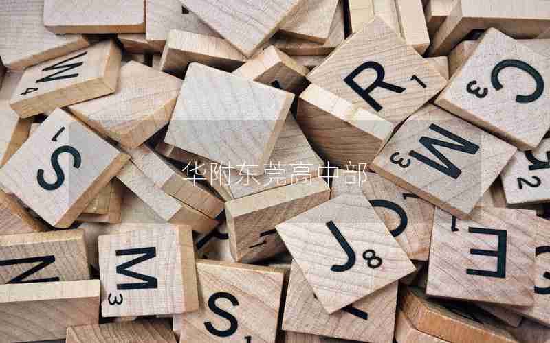 华附东莞高中部