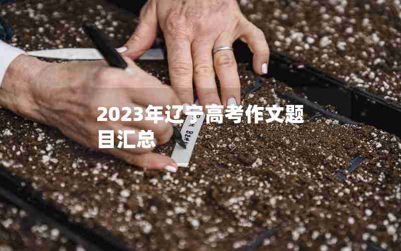 2023年辽宁高考作文题目汇总