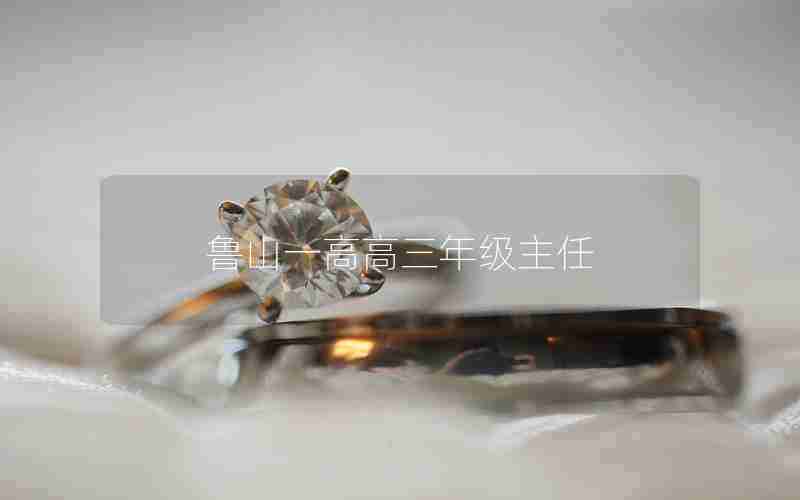 鲁山一高高三年级主任