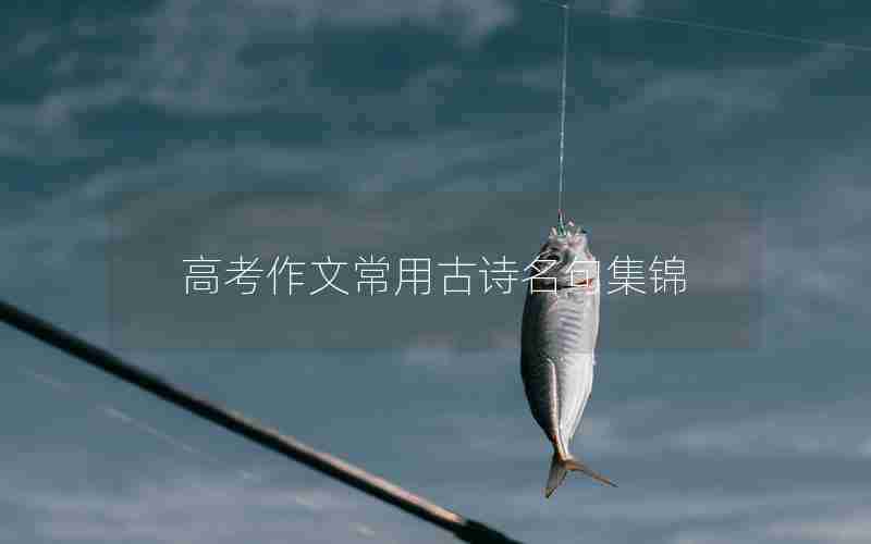 高考作文常用古诗名句集锦