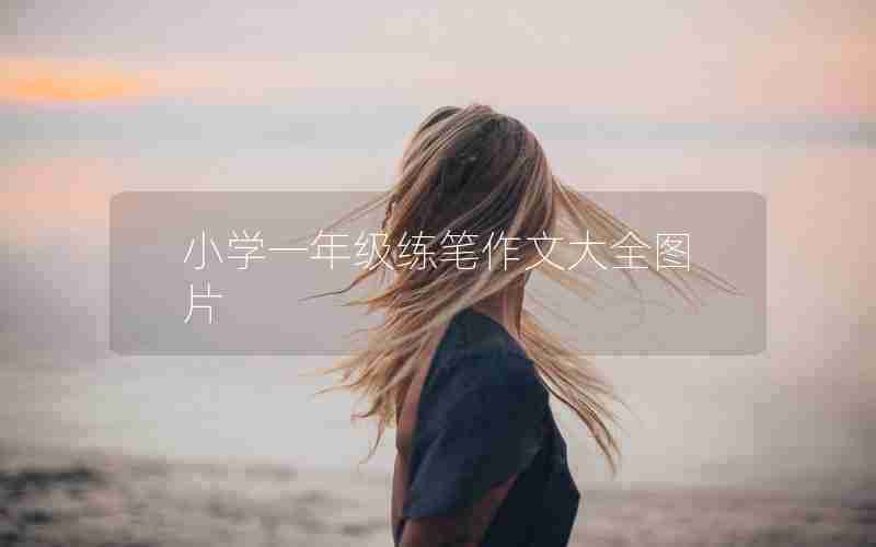 小学一年级练笔作文大全图片