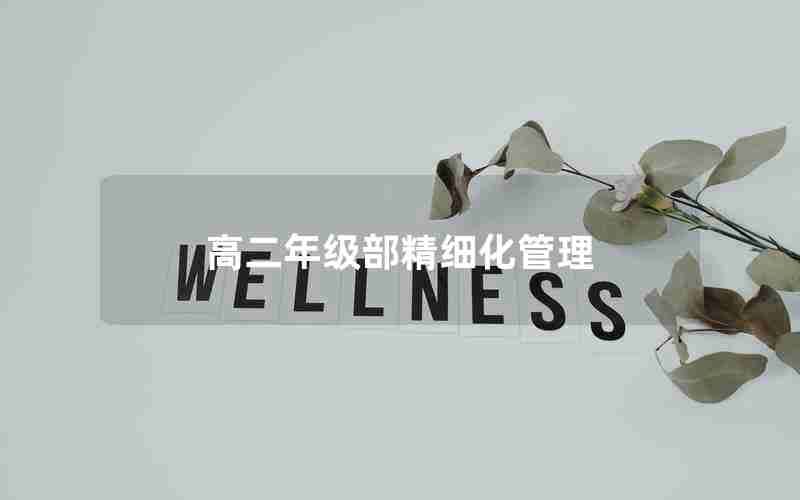 高二年级部精细化管理