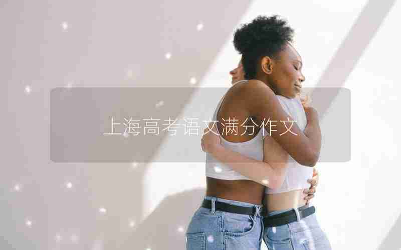 上海高考语文满分作文