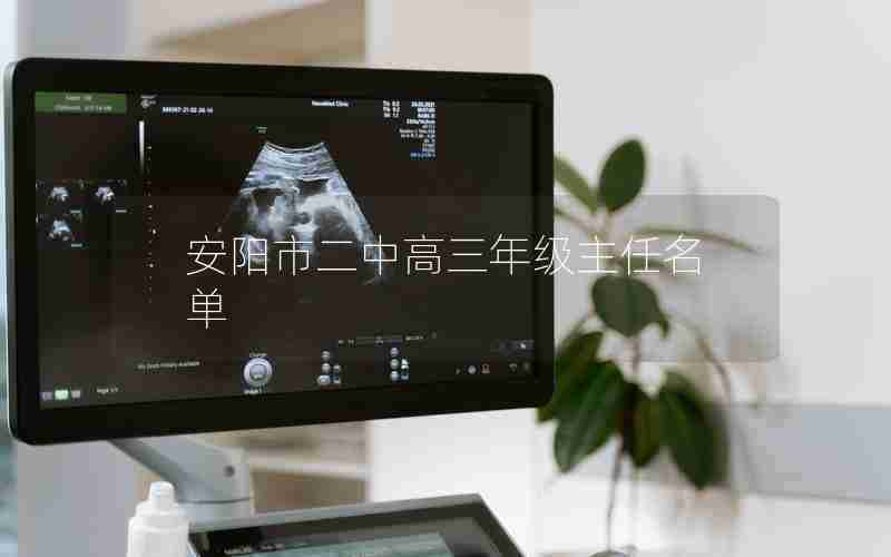 安阳市二中高三年级主任名单