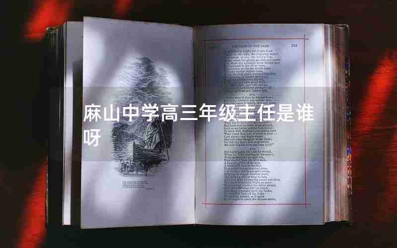 麻山中学高三年级主任是谁呀