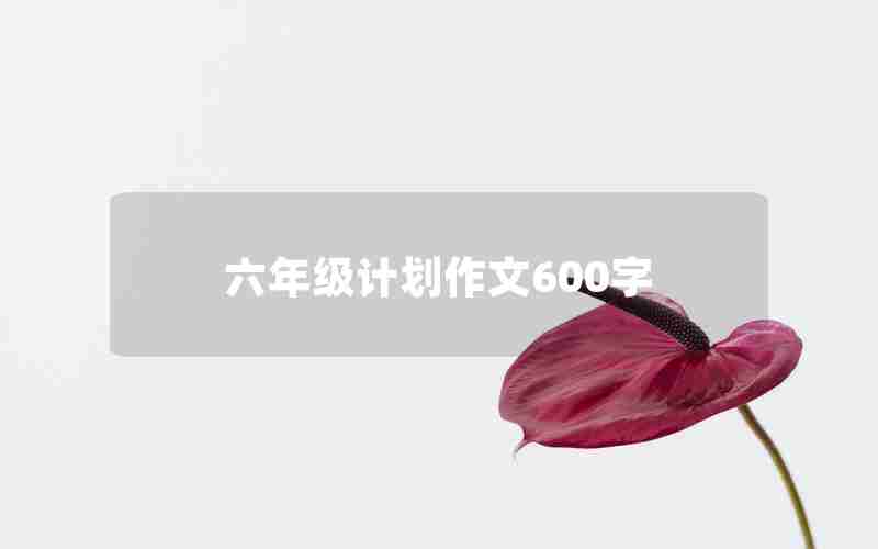 六年级计划作文600字