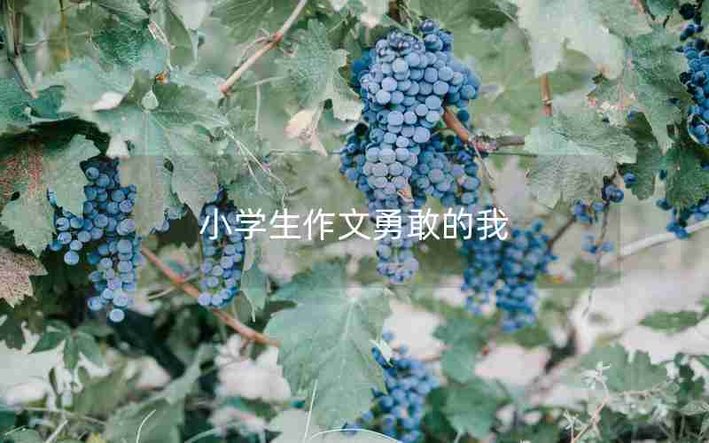 小学生作文勇敢的我