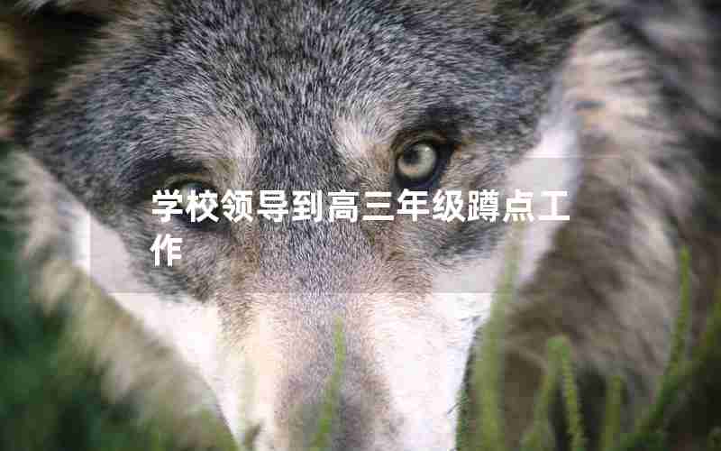 学校领导到高三年级蹲点工作