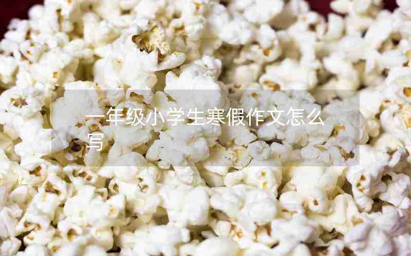 一年级小学生寒假作文怎么写