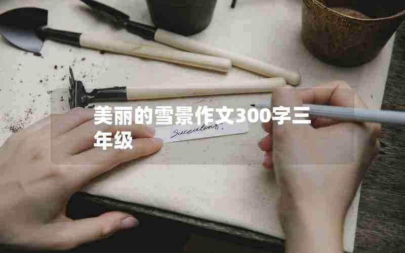 美丽的雪景作文300字三年级