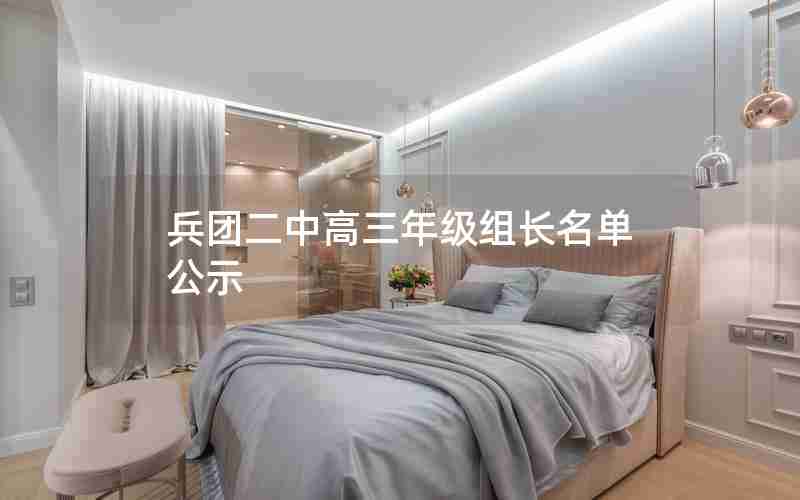 兵团二中高三年级组长名单公示