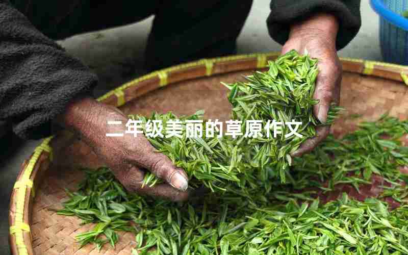 二年级美丽的草原作文