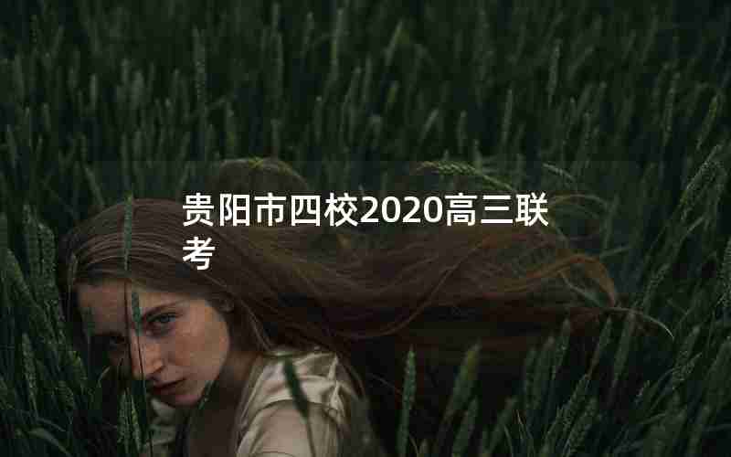 贵阳市四校2020高三联考