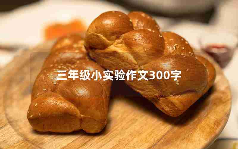 三年级小实验作文300字
