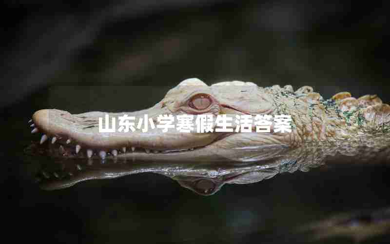 山东小学寒假生活答案