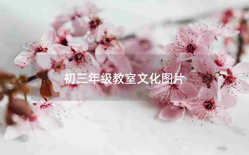 初三年级教室文化图片