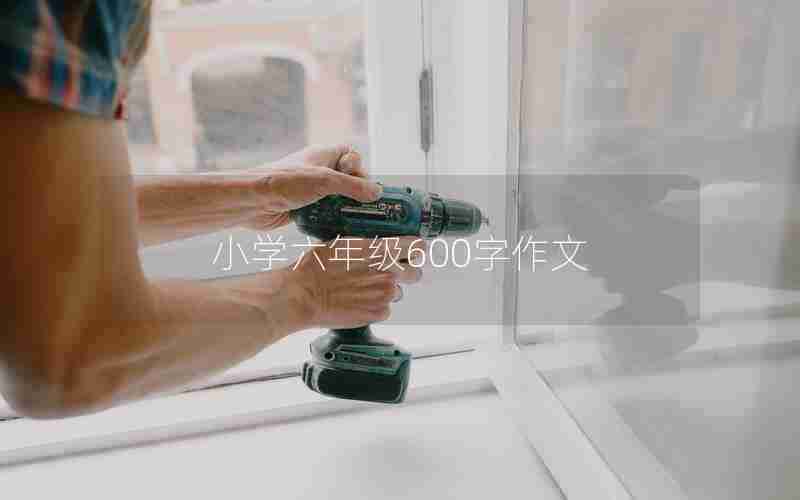 小学六年级600字作文