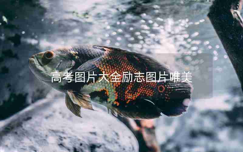 高考图片大全励志图片唯美