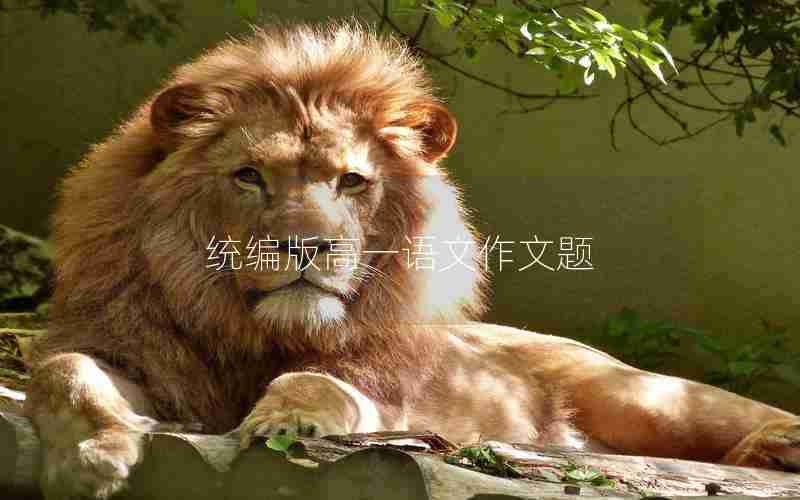 统编版高一语文作文题