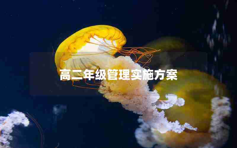高二年级管理实施方案