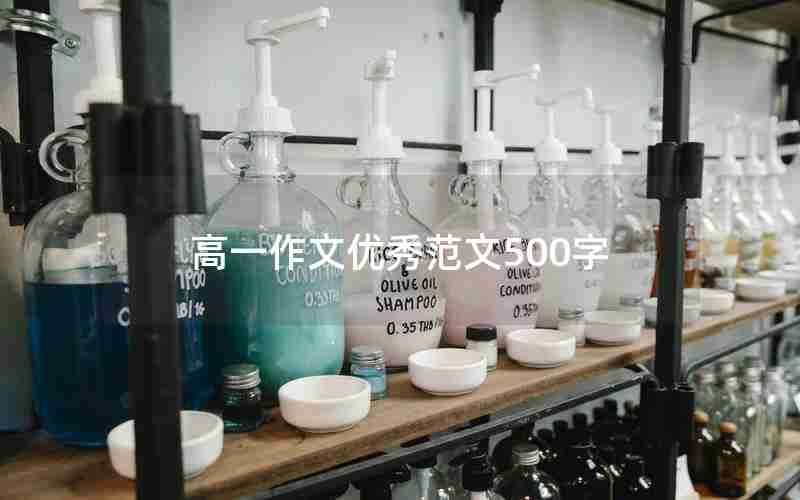 高一作文优秀范文500字