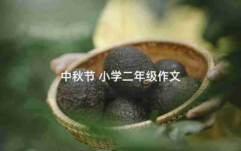 中秋节 小学二年级作文