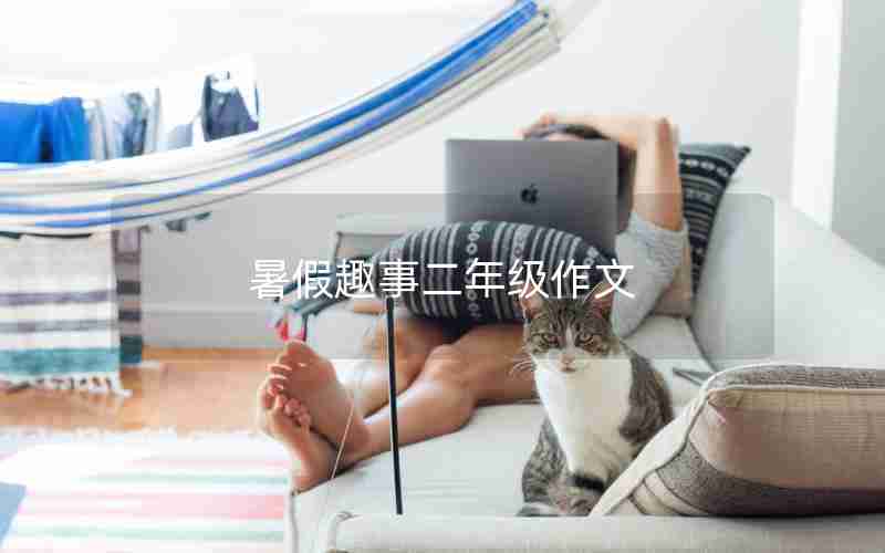 暑假趣事二年级作文