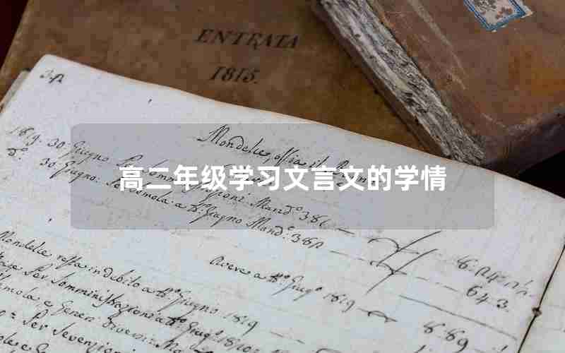 高二年级学习文言文的学情,高二文言文学情分析