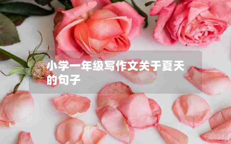 小学一年级写作文关于夏天的句子