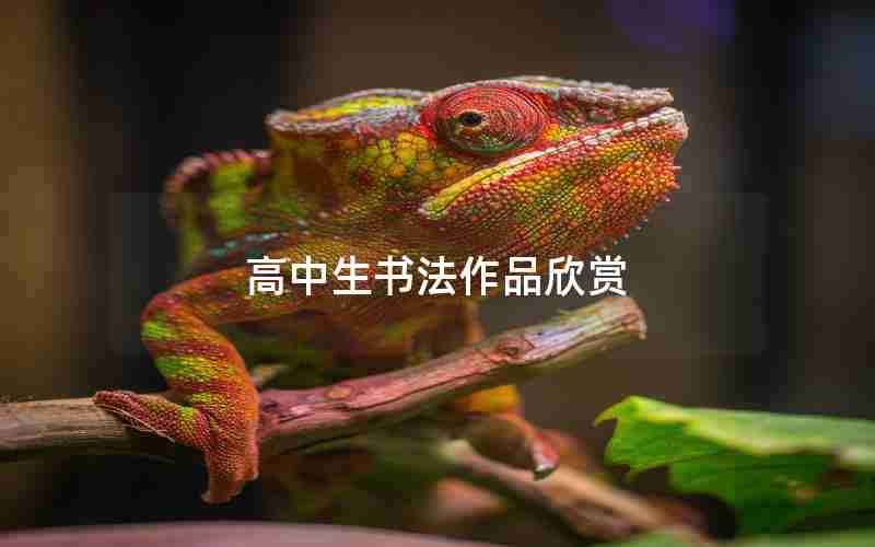 高中生书法作品欣赏
